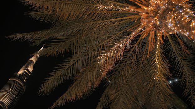 Garlands shine on the palm trees in Dubai at night