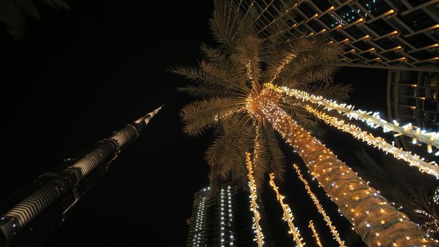Garlands shine on the palm trees in Dubai at night