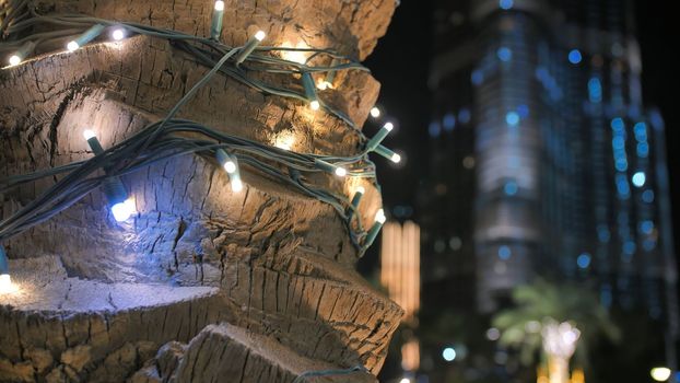 Garlands shine on the palm trees in Dubai at night