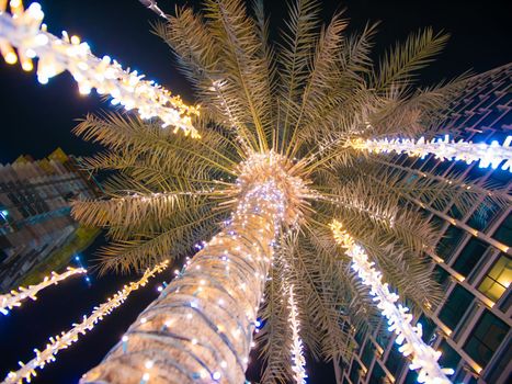 Palm trees with luminous garlands at night in Dubai.