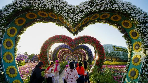 Heart shaped flower beds at the Alley of Hearts. Dubai Miracle Garden is famous for its extraordinary flower installations. A couple of people walking around at the park.