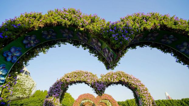 Heart shaped flower beds at the Alley of Hearts. Dubai Miracle Garden is famous for its extraordinary flower installations. A couple of people walking around at the park.