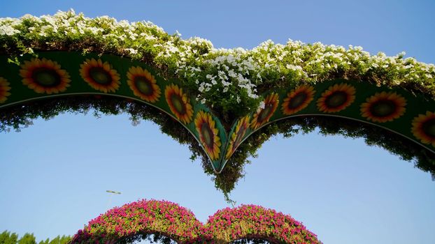Heart shaped flower beds at the Alley of Hearts. Dubai Miracle Garden is famous for its extraordinary flower installations. A couple of people walking around at the park.