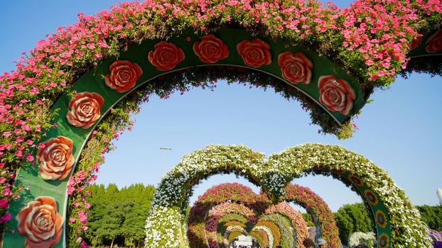 Heart shaped flower beds at the Alley of Hearts. Dubai Miracle Garden is famous for its extraordinary flower installations. A couple of people walking around at the park.