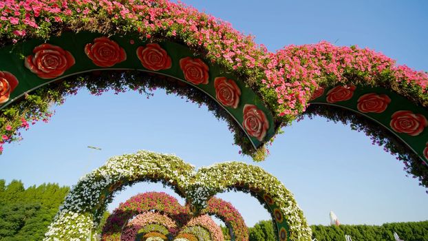 Heart shaped flower beds at the Alley of Hearts. Dubai Miracle Garden is famous for its extraordinary flower installations. A couple of people walking around at the park.