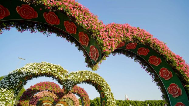 Heart shaped flower beds at the Alley of Hearts. Dubai Miracle Garden is famous for its extraordinary flower installations. A couple of people walking around at the park.