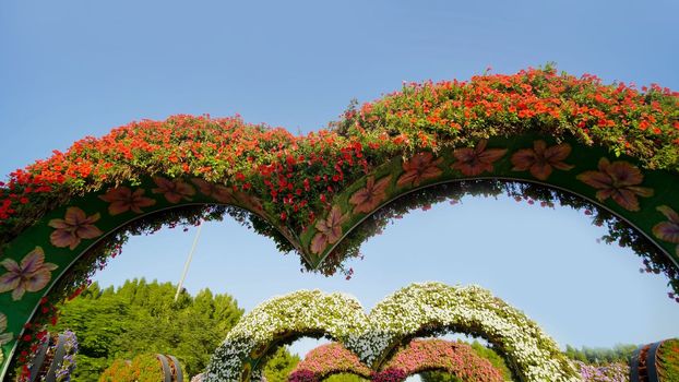Heart shaped flower beds at the Alley of Hearts. Dubai Miracle Garden is famous for its extraordinary flower installations. A couple of people walking around at the park.