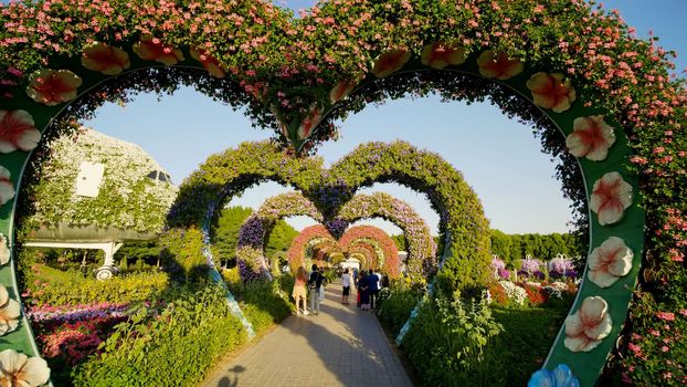 Heart shaped flower beds at the Alley of Hearts. Dubai Miracle Garden is famous for its extraordinary flower installations. A couple of people walking around at the park.