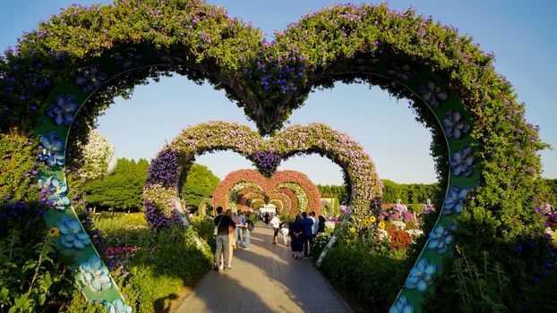 Heart shaped flower beds at the Alley of Hearts. Dubai Miracle Garden is famous for its extraordinary flower installations. A couple of people walking around at the park.