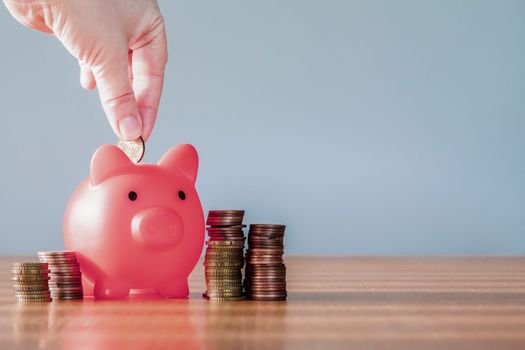 Piggy bank pink colour with money stack step up growing growth saving money, Concept financial business investment. Copy space for your text gray background close up