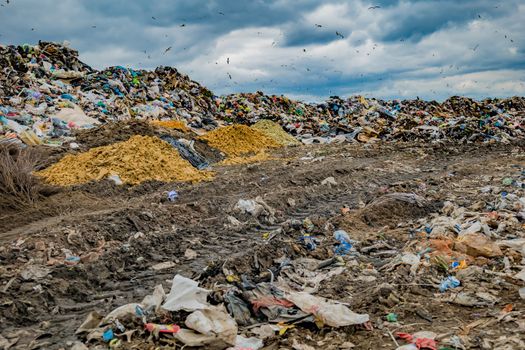 Large landfill near the metropolis in autumn