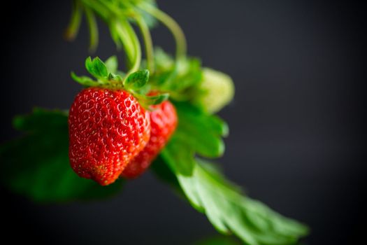 Ripe juicy red strawberry isolated on black background