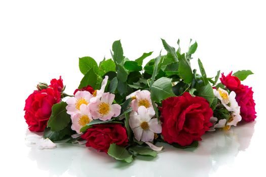big bouquet of beautiful red and pink roses isolated on white background