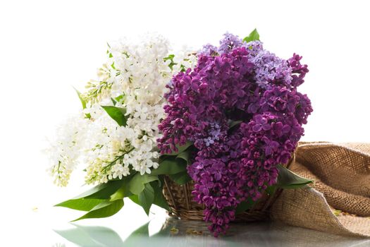 Bouquet of beautiful spring lilacs of different colors on a wooden table