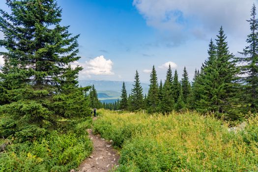 Forests and mountains of the Southern Urals near the village of Tyulyuk in Russia. Drone view