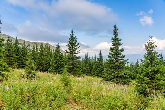 Forests and mountains of the Southern Urals near the village of Tyulyuk in Russia. Drone view