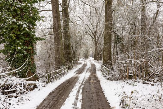 Lonely winter landscape with a dirt road and trees with snow and ice in winter