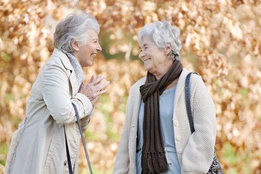 Laughing at old memories. Two senior women having a friendly conversation outside with autumn leaves in the background