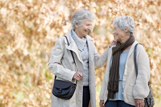 Friendship in their autumn years. Two senior women having a friendly conversation outside with autumn leaves in the background