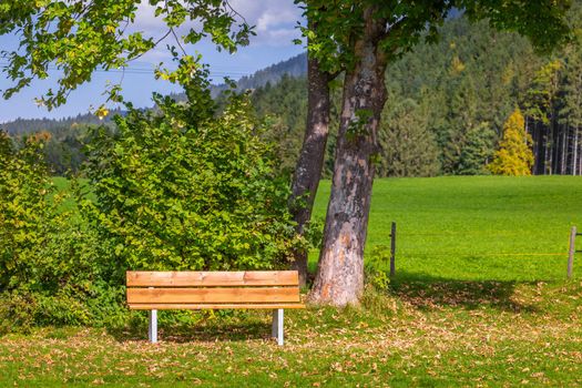 Bench Under Autumn Tree in idyllic bavarian alps in Fussen at sunny day, Germany