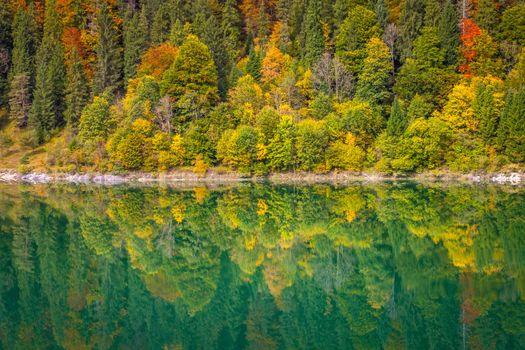 Alpsee lake reflection in Bavarian alps at golden autumn, Karwendel mountains, Bavaria, Germany