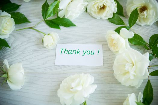 beautiful background of many white roses on a light wooden