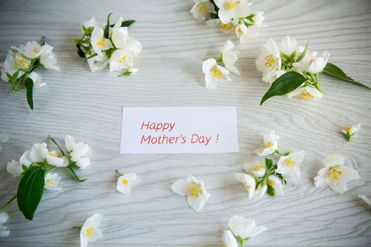 Wooden background with blooming beautiful white jasmine and congratulations for mother.