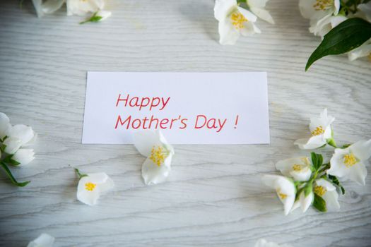 Wooden background with blooming beautiful white jasmine and congratulations for mother.