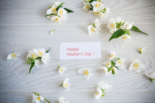 Wooden background with blooming beautiful white jasmine and congratulations for mother.