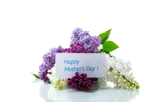 Bouquet of beautiful spring lilacs of different colors isolated on white background