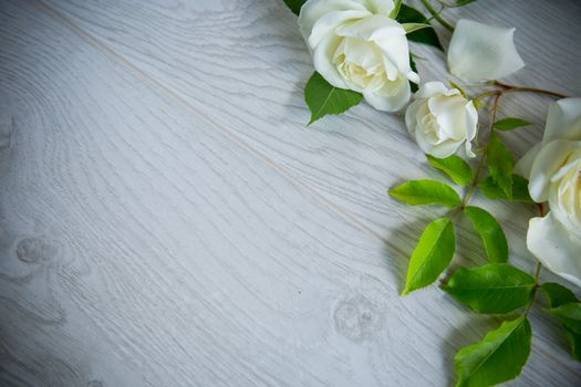 small bouquet of beautiful white summer roses, on a wooden table
