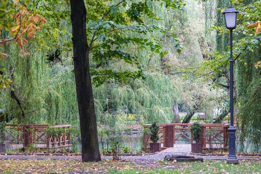 A small pond in a city park in summer