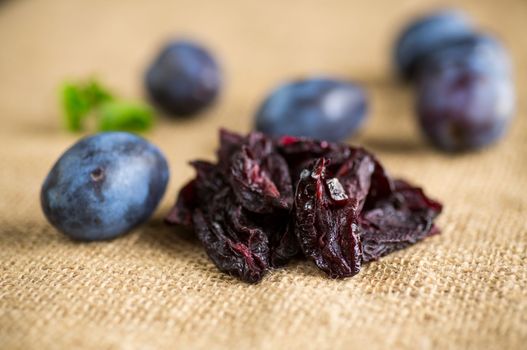 Dried prunes in a spoon on a burlap tablecloth against a background of fresh plums. Prunes and plums on a kitchen table close-up.