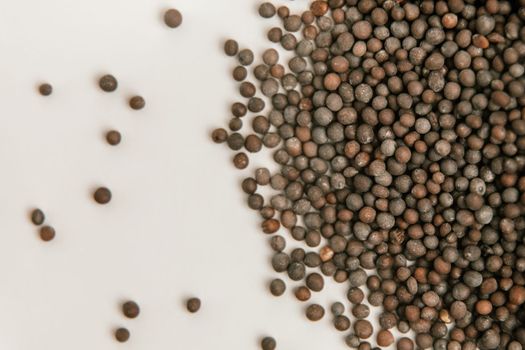 Brown Mustard Seeds Also Know as Rai Spice Background