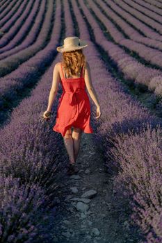Woman field lavender. In a red dress and hat, she walks through a lavender field in her hands, holding a bouquet of lavender