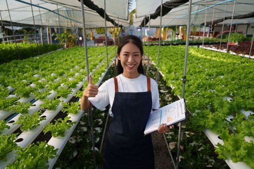 Asian business owner observed about growing organic in hydroponics farm. Growing organic vegetable and Green energy concept.