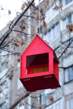 Red bird feeder on a branch of an autumn tree close up