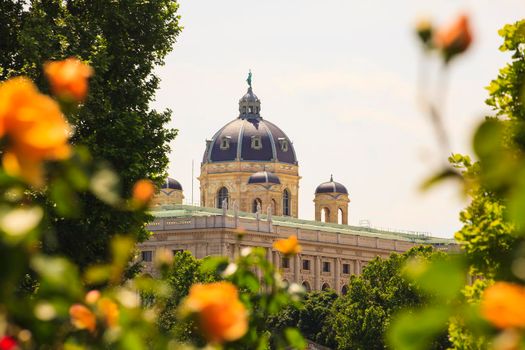 View of the Naturhistorisches Museum dome through the flowers