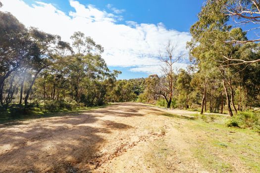 Mountain bike trails and landscape around Plenty Gorge in Northern Melbourne in Victoria, Australia