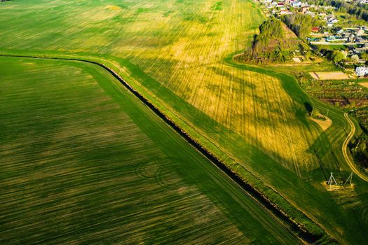 Bird's-eye view of a green field .Sowing campaign in Belarus.Nature Of Belarus.Own green field at sunset.