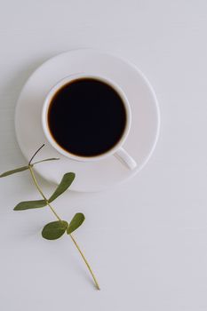 Black coffee in white cup with saucer and eucalyptus branch on table