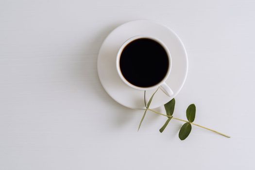 Black coffee in white cup with saucer and eucalyptus branch on table