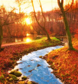 Autumn trees. A colorful photo of forest and river in the fall