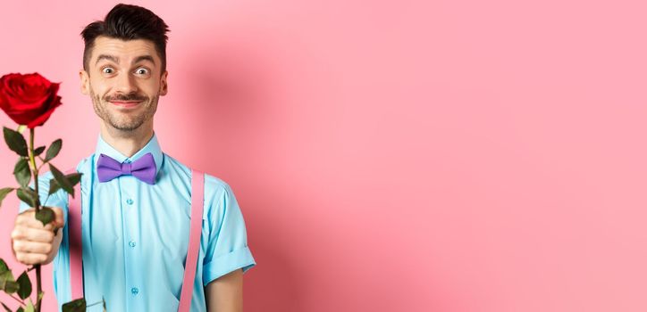 Valentines day and romance concept. Funny guy with moustache giving red rose and smiling, making romantic gesture on date, standing over pink background.