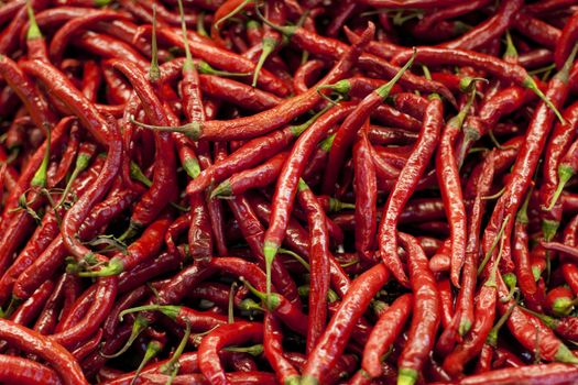 Spicy, red pepper and grocery with chillies in supermarket for organic food, shopping and health. Mexican, plant and heat with hot vegetable ingredient in store for seasoning, paprika and nutrition.