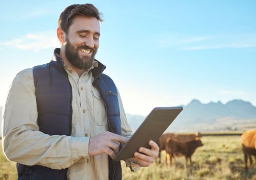 Checklist, cow or agriculture man with tablet on farm for sustainability, production or industry growth research. Agro, happy or farmer on countryside field for dairy stock, animals or food.