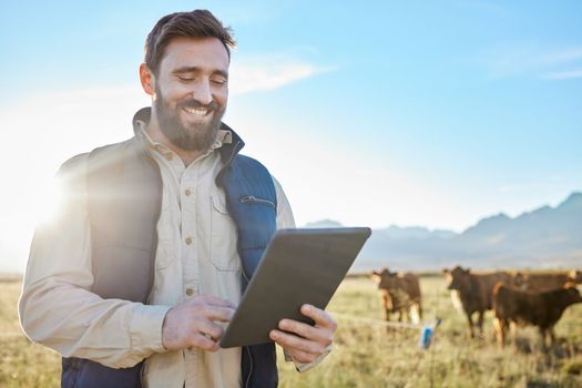 Smile, cow agriculture or man with tablet on farm for sustainability, production or industry growth research. Agro, happy or farmer on countryside field for dairy stock, animals or food checklist.