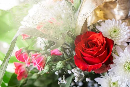 Beautiful bouquet of one red rose and white flowers on light background.
