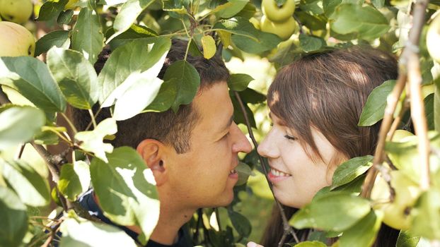 A boy and a girl in love in the branches of an apple tree hugging each other
