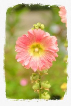 Pink flower on green background stylized as a painting art on canva